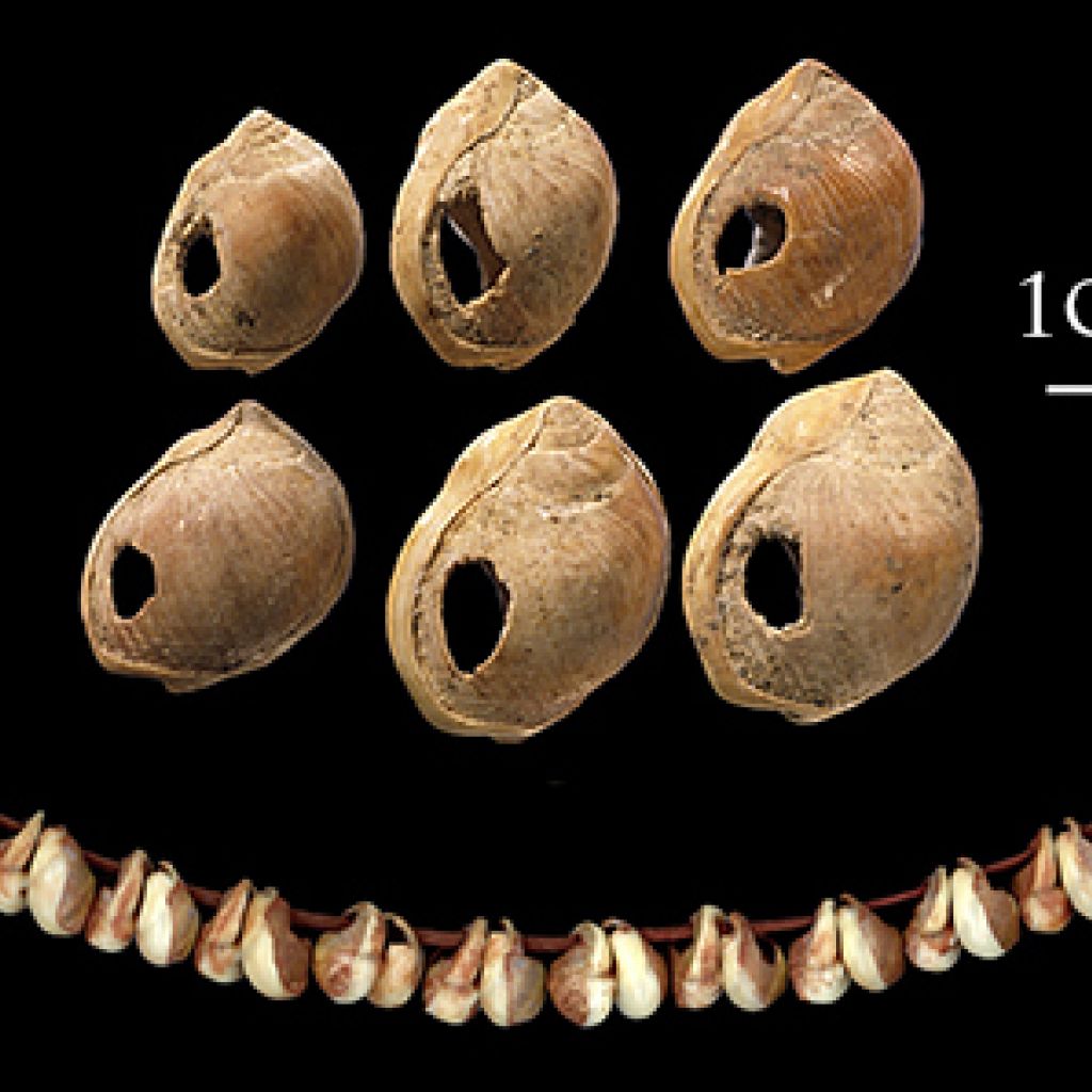 Blombos Cave Marine Shell Beads