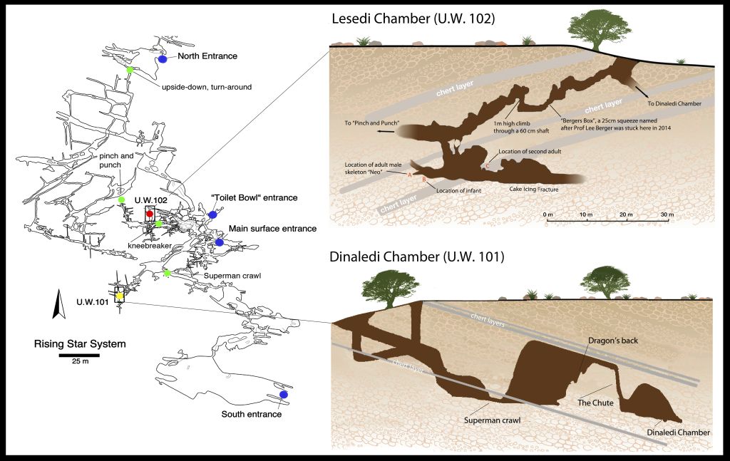(8) Lesedi And Dinaledi Map