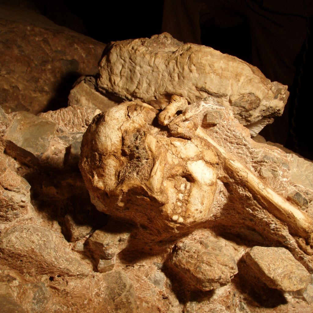 Little Foot In The Sterkfontein Cave