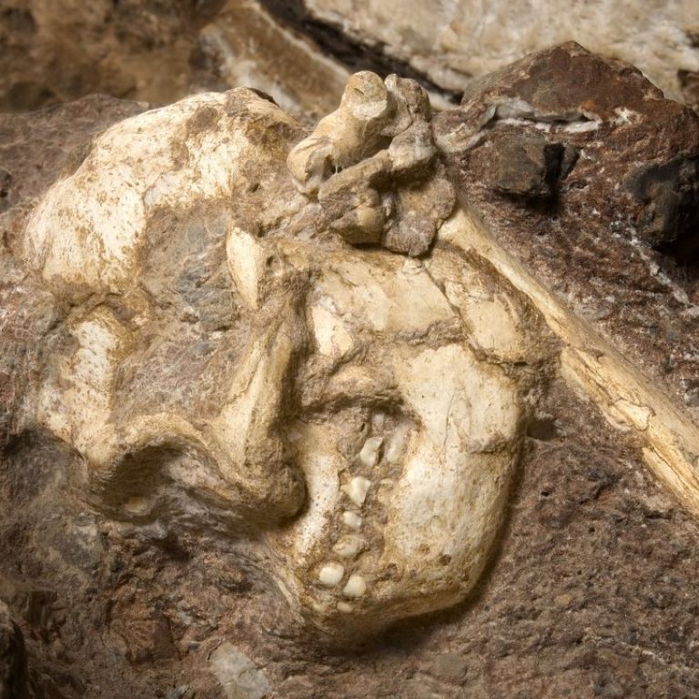 “Little Foot” – Maropeng and Sterkfontein Caves