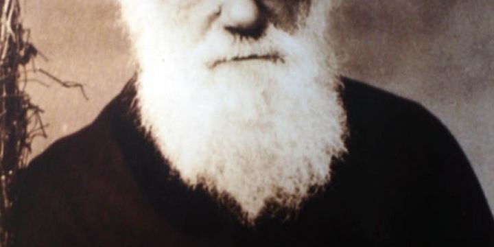 Charles Darwin2