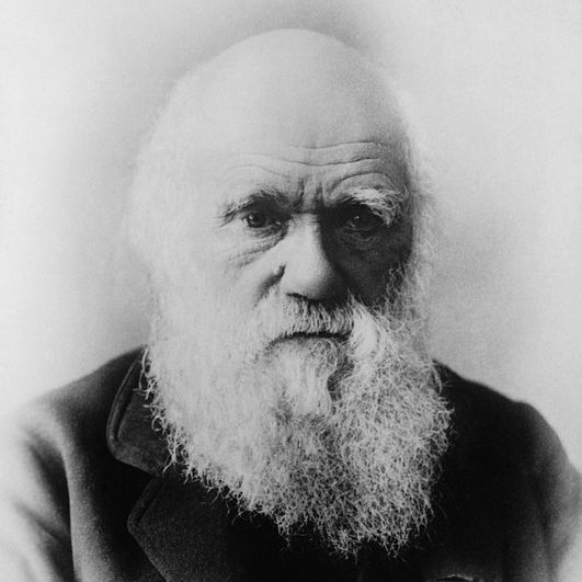 Charles Darwin 62967 960 720