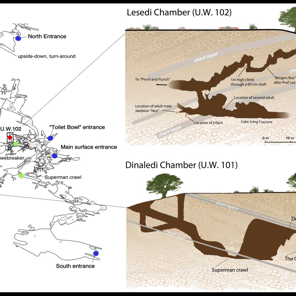 8 Lesedi And Dinaledi Map