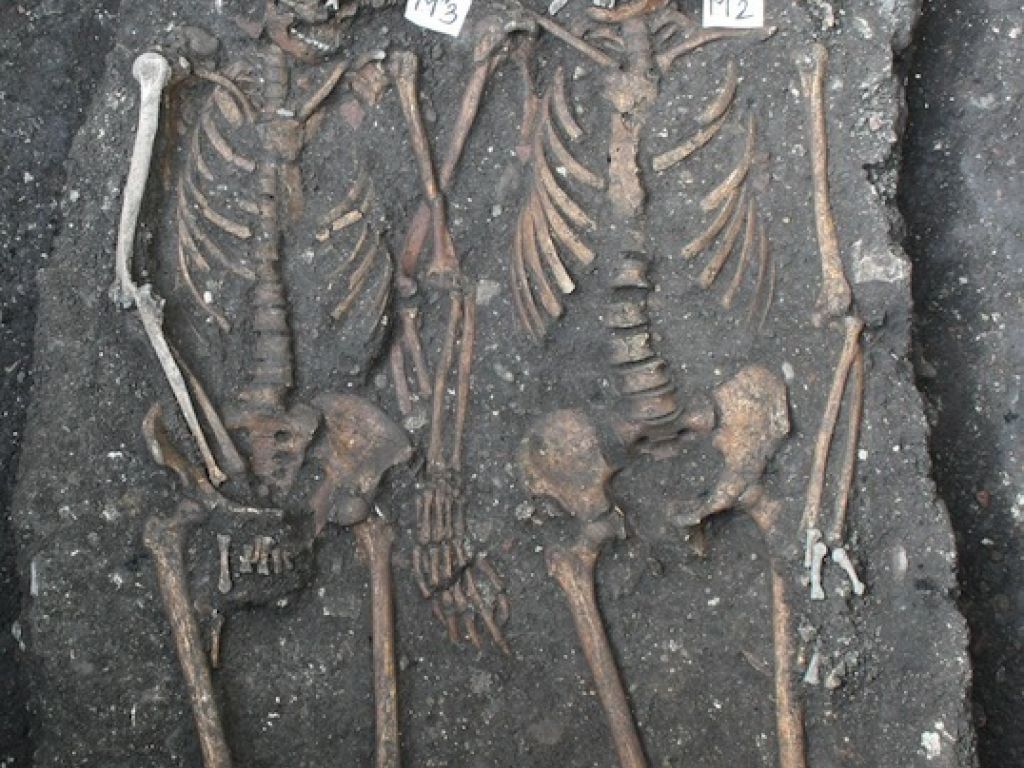 Skeletons Holding Hands Cluj Napoca Romania 2